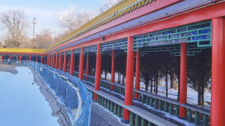 忆儿时的乐园——酒钢职工游乐园